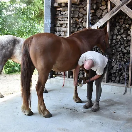 Bed and Breakfast La Grange Bagnolaise 3*