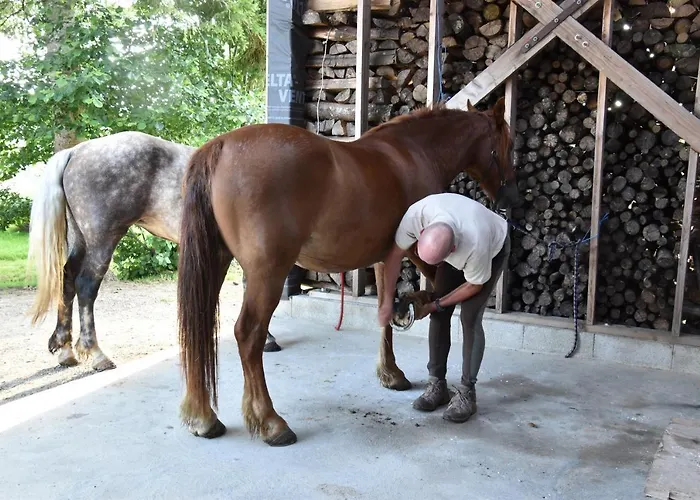Bed & Breakfast La Grange Bagnolaise 3*